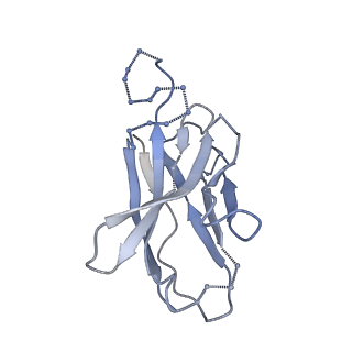 0485_6nqd_G_v2-0
Cryo-EM structure of T/F100 SOSIP.664 HIV-1 Env trimer in complex with 8ANC195 Fab