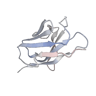 0485_6nqd_H_v1-1
Cryo-EM structure of T/F100 SOSIP.664 HIV-1 Env trimer in complex with 8ANC195 Fab