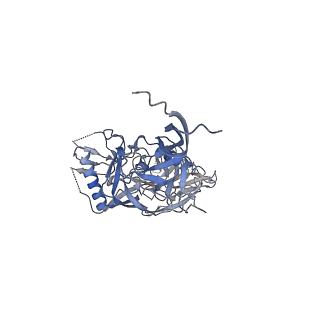 0485_6nqd_I_v1-1
Cryo-EM structure of T/F100 SOSIP.664 HIV-1 Env trimer in complex with 8ANC195 Fab