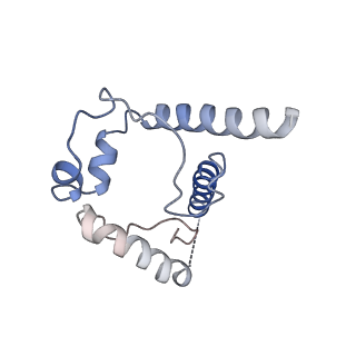 0485_6nqd_J_v1-1
Cryo-EM structure of T/F100 SOSIP.664 HIV-1 Env trimer in complex with 8ANC195 Fab