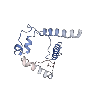 0485_6nqd_J_v2-0
Cryo-EM structure of T/F100 SOSIP.664 HIV-1 Env trimer in complex with 8ANC195 Fab