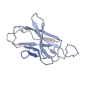 0485_6nqd_K_v1-1
Cryo-EM structure of T/F100 SOSIP.664 HIV-1 Env trimer in complex with 8ANC195 Fab