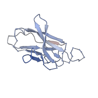0485_6nqd_K_v2-0
Cryo-EM structure of T/F100 SOSIP.664 HIV-1 Env trimer in complex with 8ANC195 Fab