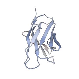 0485_6nqd_L_v1-1
Cryo-EM structure of T/F100 SOSIP.664 HIV-1 Env trimer in complex with 8ANC195 Fab