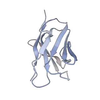 0485_6nqd_L_v2-0
Cryo-EM structure of T/F100 SOSIP.664 HIV-1 Env trimer in complex with 8ANC195 Fab