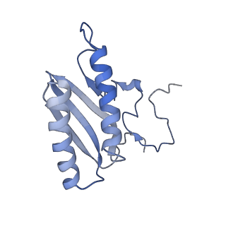 12527_7nqh_AC_v1-1
55S mammalian mitochondrial ribosome with mtRF1a and P-site tRNAMet