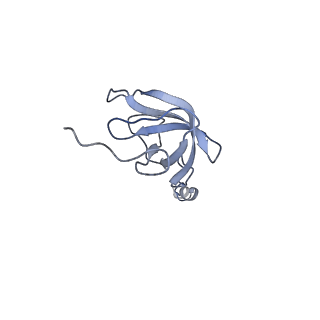 12527_7nqh_AL_v1-1
55S mammalian mitochondrial ribosome with mtRF1a and P-site tRNAMet