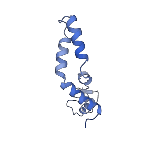 12527_7nqh_AN_v1-1
55S mammalian mitochondrial ribosome with mtRF1a and P-site tRNAMet