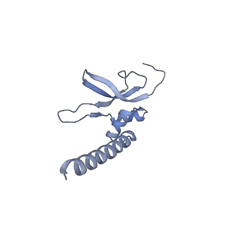 12527_7nqh_AP_v1-1
55S mammalian mitochondrial ribosome with mtRF1a and P-site tRNAMet