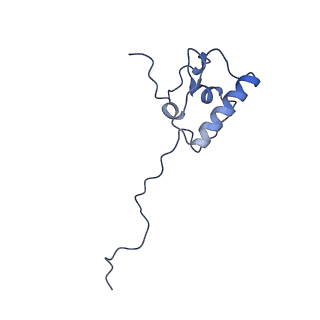 12527_7nqh_AR_v1-1
55S mammalian mitochondrial ribosome with mtRF1a and P-site tRNAMet
