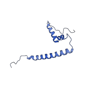 12527_7nqh_AU_v1-1
55S mammalian mitochondrial ribosome with mtRF1a and P-site tRNAMet