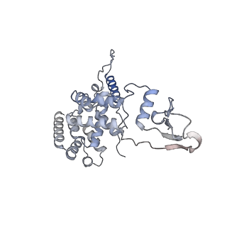 12527_7nqh_Aa_v1-1
55S mammalian mitochondrial ribosome with mtRF1a and P-site tRNAMet