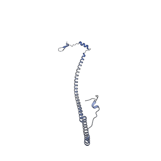 12527_7nqh_Ad_v1-1
55S mammalian mitochondrial ribosome with mtRF1a and P-site tRNAMet
