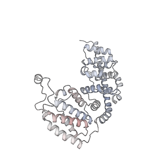 12527_7nqh_Ae_v1-1
55S mammalian mitochondrial ribosome with mtRF1a and P-site tRNAMet