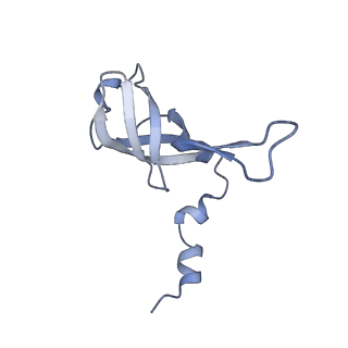 12527_7nqh_Af_v1-1
55S mammalian mitochondrial ribosome with mtRF1a and P-site tRNAMet
