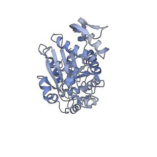 12527_7nqh_Ag_v1-1
55S mammalian mitochondrial ribosome with mtRF1a and P-site tRNAMet