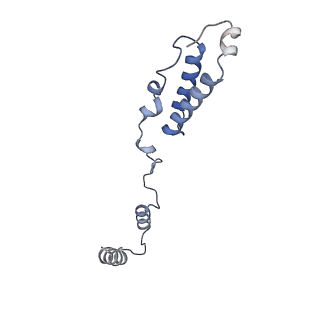 12527_7nqh_Ah_v1-1
55S mammalian mitochondrial ribosome with mtRF1a and P-site tRNAMet