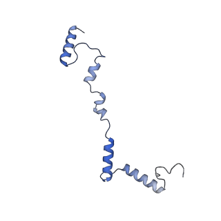 12527_7nqh_Ai_v1-1
55S mammalian mitochondrial ribosome with mtRF1a and P-site tRNAMet