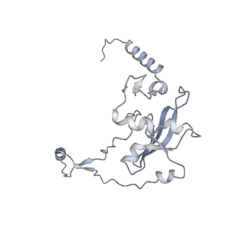 12527_7nqh_Aj_v1-1
55S mammalian mitochondrial ribosome with mtRF1a and P-site tRNAMet