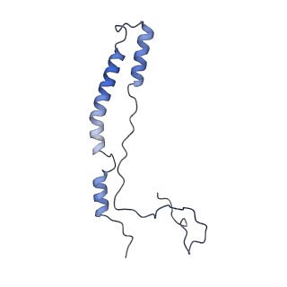 12527_7nqh_Am_v1-1
55S mammalian mitochondrial ribosome with mtRF1a and P-site tRNAMet
