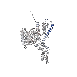 12527_7nqh_Ao_v1-1
55S mammalian mitochondrial ribosome with mtRF1a and P-site tRNAMet