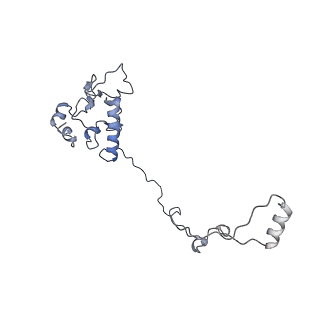 12527_7nqh_Ap_v1-1
55S mammalian mitochondrial ribosome with mtRF1a and P-site tRNAMet
