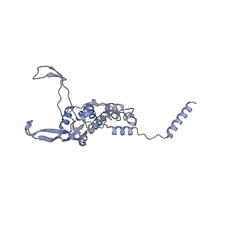 12527_7nqh_B1_v1-1
55S mammalian mitochondrial ribosome with mtRF1a and P-site tRNAMet
