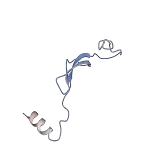 12527_7nqh_B4_v1-1
55S mammalian mitochondrial ribosome with mtRF1a and P-site tRNAMet