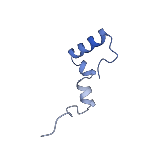 12527_7nqh_B7_v1-1
55S mammalian mitochondrial ribosome with mtRF1a and P-site tRNAMet