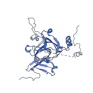 12527_7nqh_BE_v1-1
55S mammalian mitochondrial ribosome with mtRF1a and P-site tRNAMet
