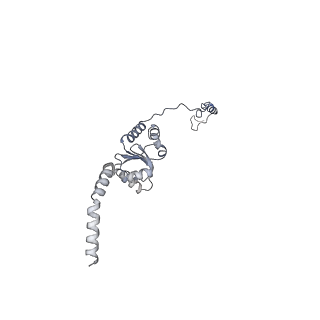 12527_7nqh_BJ_v1-1
55S mammalian mitochondrial ribosome with mtRF1a and P-site tRNAMet