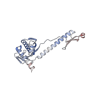 12527_7nqh_BL_v1-1
55S mammalian mitochondrial ribosome with mtRF1a and P-site tRNAMet