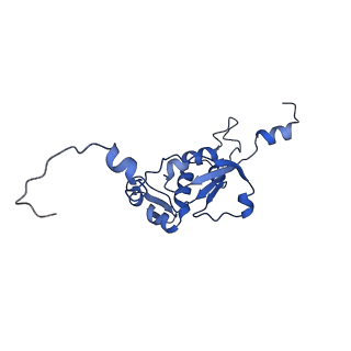 12527_7nqh_BN_v1-1
55S mammalian mitochondrial ribosome with mtRF1a and P-site tRNAMet