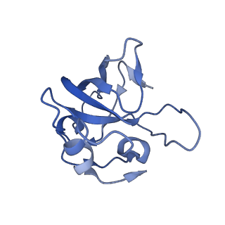 12527_7nqh_BO_v1-1
55S mammalian mitochondrial ribosome with mtRF1a and P-site tRNAMet