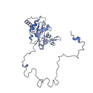 12527_7nqh_BP_v1-1
55S mammalian mitochondrial ribosome with mtRF1a and P-site tRNAMet