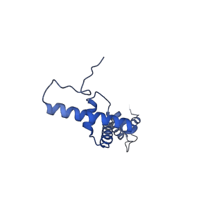 12527_7nqh_BU_v1-1
55S mammalian mitochondrial ribosome with mtRF1a and P-site tRNAMet