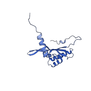 12527_7nqh_BW_v1-1
55S mammalian mitochondrial ribosome with mtRF1a and P-site tRNAMet
