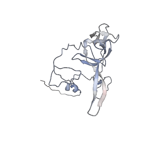 12527_7nqh_BY_v1-1
55S mammalian mitochondrial ribosome with mtRF1a and P-site tRNAMet