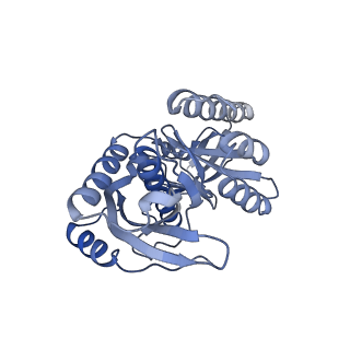 12527_7nqh_Bc_v1-1
55S mammalian mitochondrial ribosome with mtRF1a and P-site tRNAMet