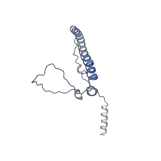12527_7nqh_Bd_v1-1
55S mammalian mitochondrial ribosome with mtRF1a and P-site tRNAMet