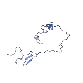 12527_7nqh_Be_v1-1
55S mammalian mitochondrial ribosome with mtRF1a and P-site tRNAMet