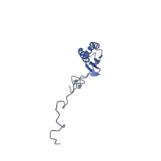 12527_7nqh_Bg_v1-1
55S mammalian mitochondrial ribosome with mtRF1a and P-site tRNAMet