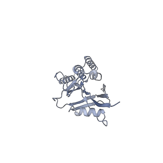 12527_7nqh_Bj_v1-1
55S mammalian mitochondrial ribosome with mtRF1a and P-site tRNAMet