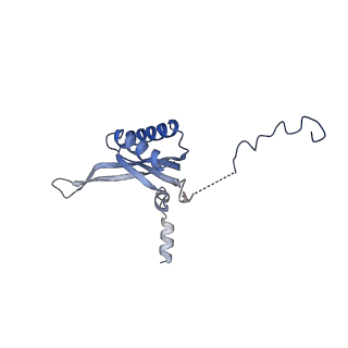 12527_7nqh_Bk_v1-1
55S mammalian mitochondrial ribosome with mtRF1a and P-site tRNAMet