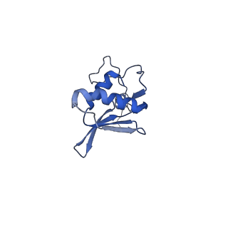 12527_7nqh_Bl_v1-1
55S mammalian mitochondrial ribosome with mtRF1a and P-site tRNAMet