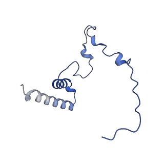 12527_7nqh_Bn_v1-1
55S mammalian mitochondrial ribosome with mtRF1a and P-site tRNAMet