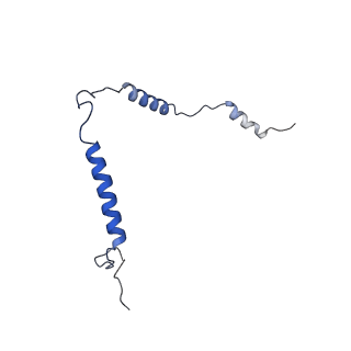 12527_7nqh_Bt_v1-1
55S mammalian mitochondrial ribosome with mtRF1a and P-site tRNAMet