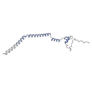 12527_7nqh_Bv_v1-1
55S mammalian mitochondrial ribosome with mtRF1a and P-site tRNAMet