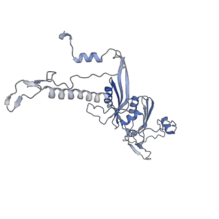 12529_7nql_AE_v1-1
55S mammalian mitochondrial ribosome with ICT1 and P site tRNAMet
