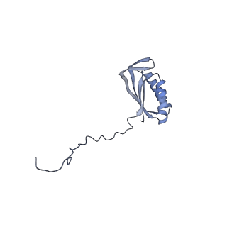 12529_7nql_AF_v1-1
55S mammalian mitochondrial ribosome with ICT1 and P site tRNAMet